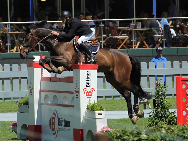 但更引人注 但更引人注