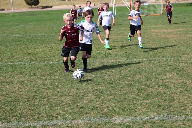 排名及其背 排名及其背