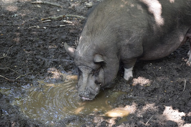 的根源出发 的根源出发